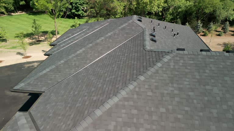 Best Roof Coating and Sealing  in Flora, IL