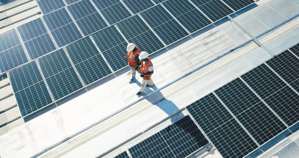 Best Roof Moss and Algae Removal  in Flora, IL
