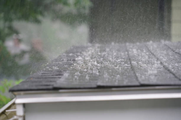 Trusted Flora, IL Roofing Service Experts