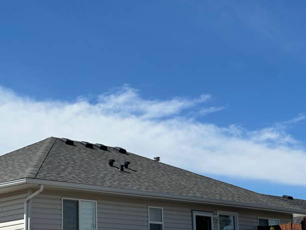 Best Storm Damage Roof Repair  in Flora, IL